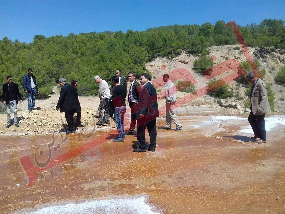 بالفيديو -سليانة  / عين  جبلية  تفوق  ملوحتها  10 مرات ملوحة البحر  و خبراء يتحدثون عن فوائدها الطبية 